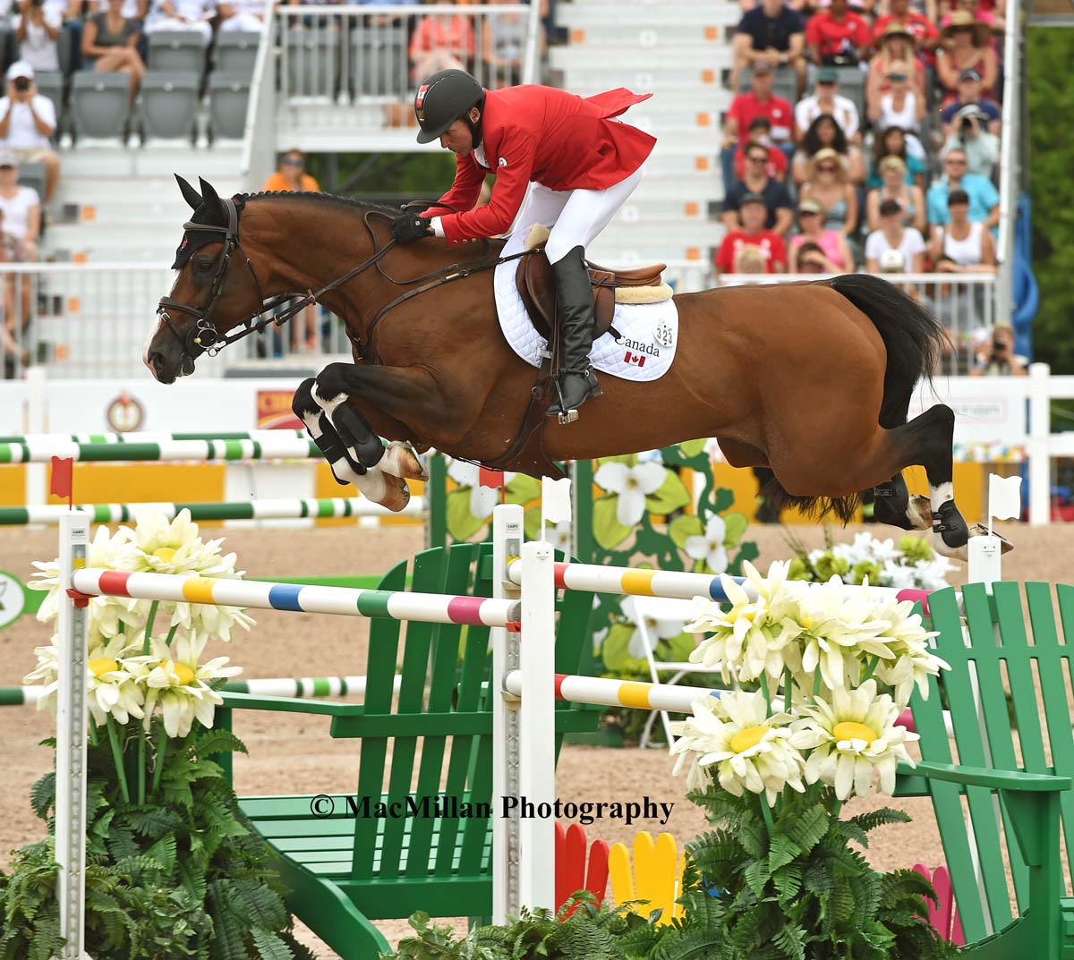 PanAm Show Jumping