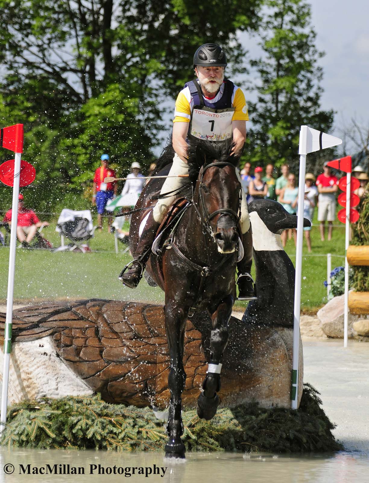 PanAm Eventing Cross-Country