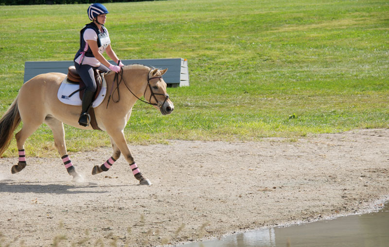 Pancake at a show