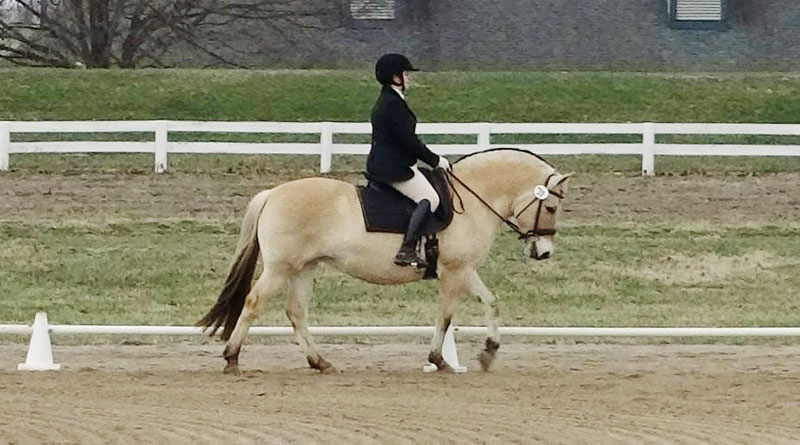 Fat Pancake at a show