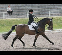 The first World Para-Equestrian Dressage Championships will be held at Hartpury College