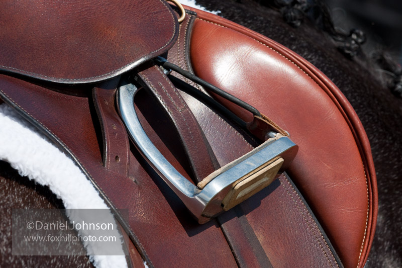 Peacock Stirrups