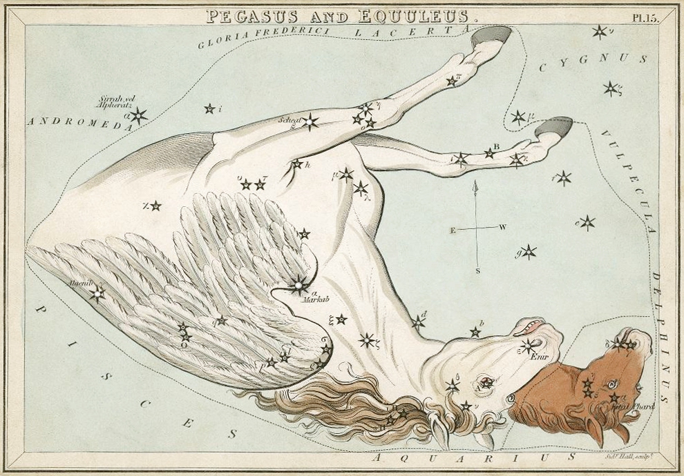 Pegasus and Equuleus