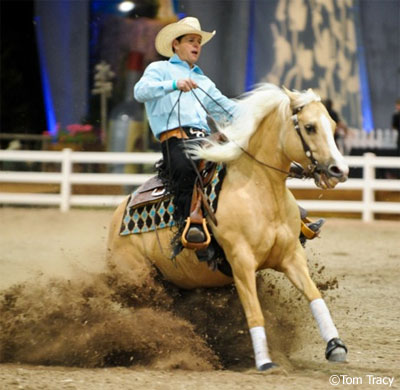 Peter Pletcher Reining