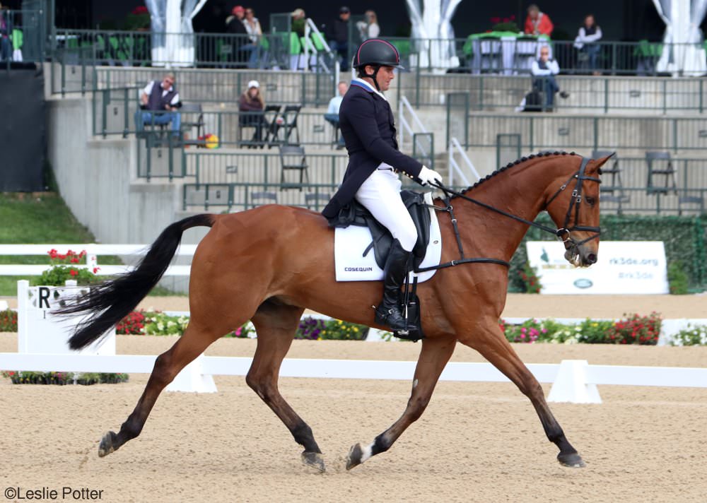 Rolex Dressage