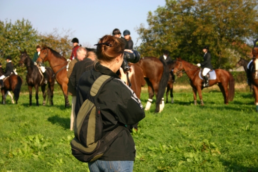 Horse Photographer