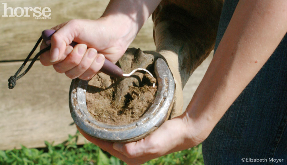 Picking a Hoof