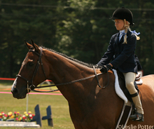 Quick tips to make your brown horse stand out from the rest