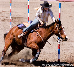 Pole Bending