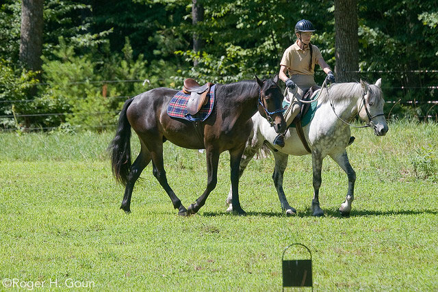 Ponying a Horse