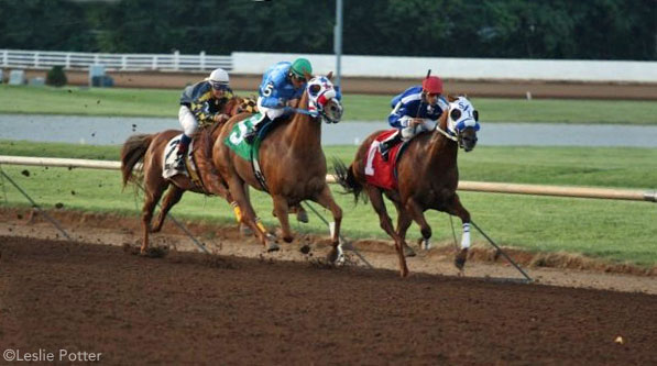 American Quarter Horse Racing