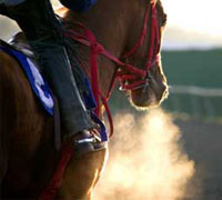 The MEC has banned companies who support equine slaughter from MEC facilities