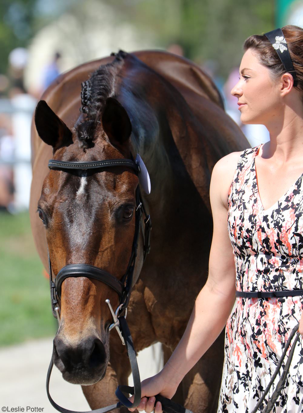 2017 Rolex Kentucky Three-Day Event