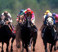 Throughbred race horse jockeys