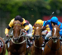 Thoroughbred racing