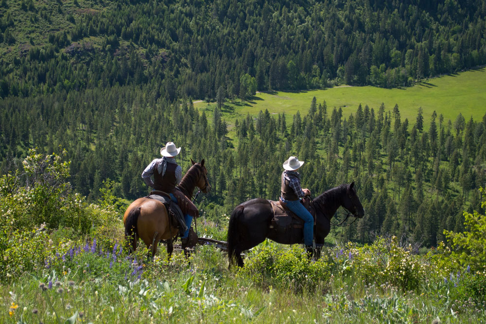 Ranch Vacation