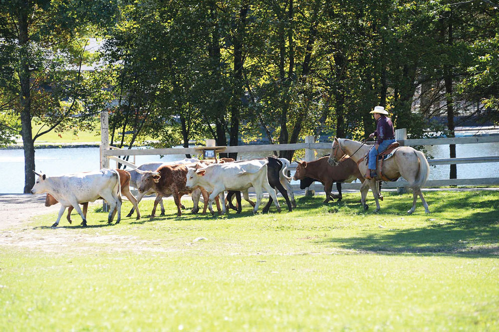 Ranch Vacation