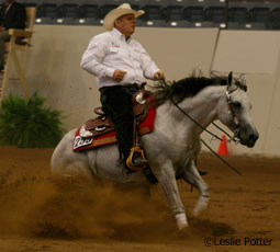 Reining competition