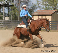 Reining horse