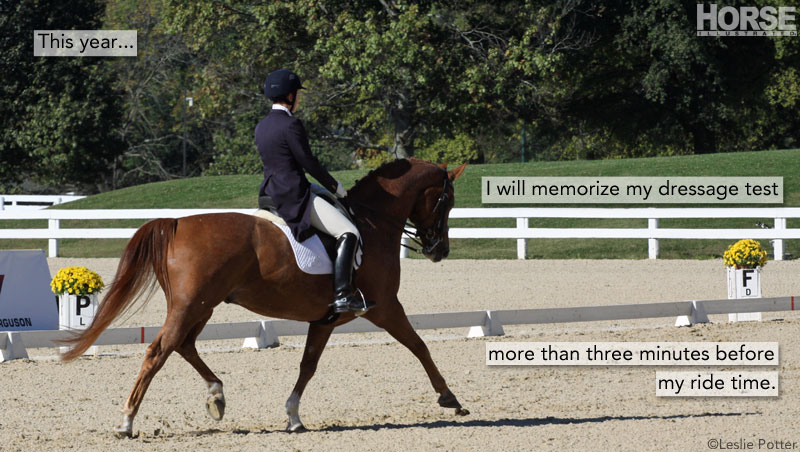 Dressage