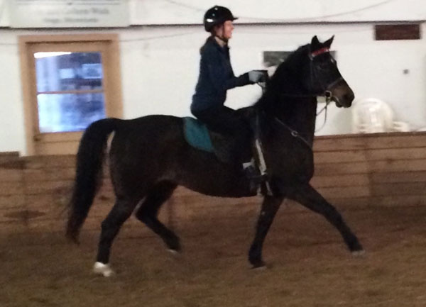 A lesson at a training barn