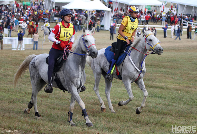 U.S. Endurance Team Announced for 2014 Alltech FEI World Equestrian Games