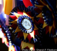 Champion ribbon