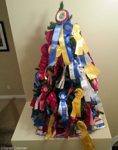 Ribbon Tree