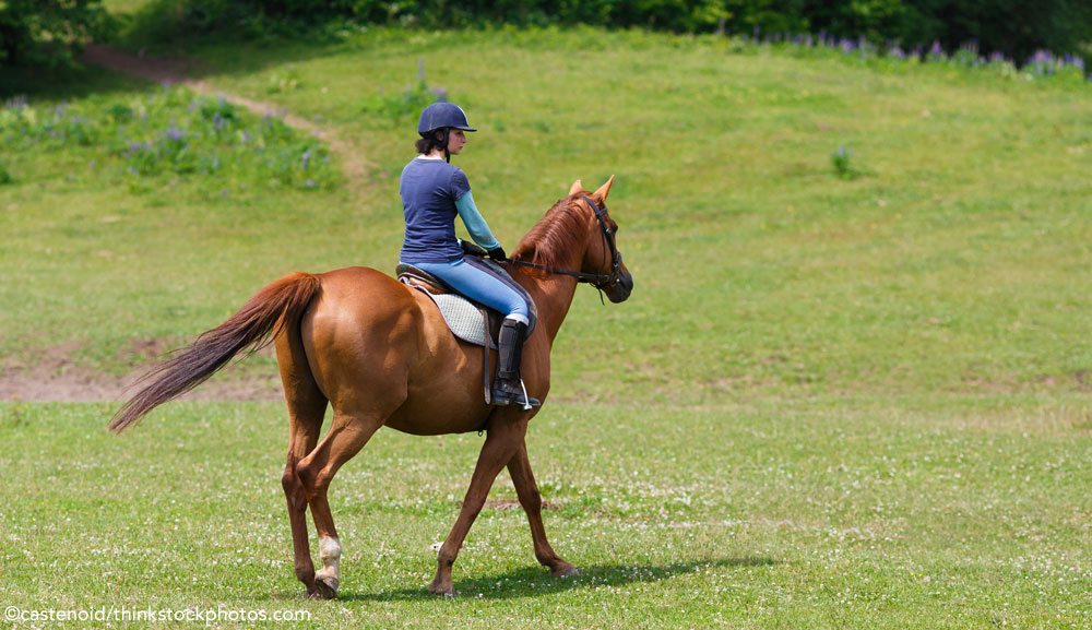 Summer Riding