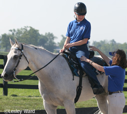 Lesson horse