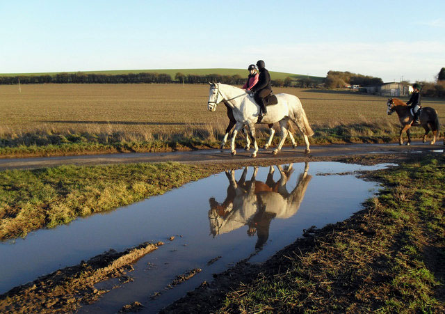 Trail Riding