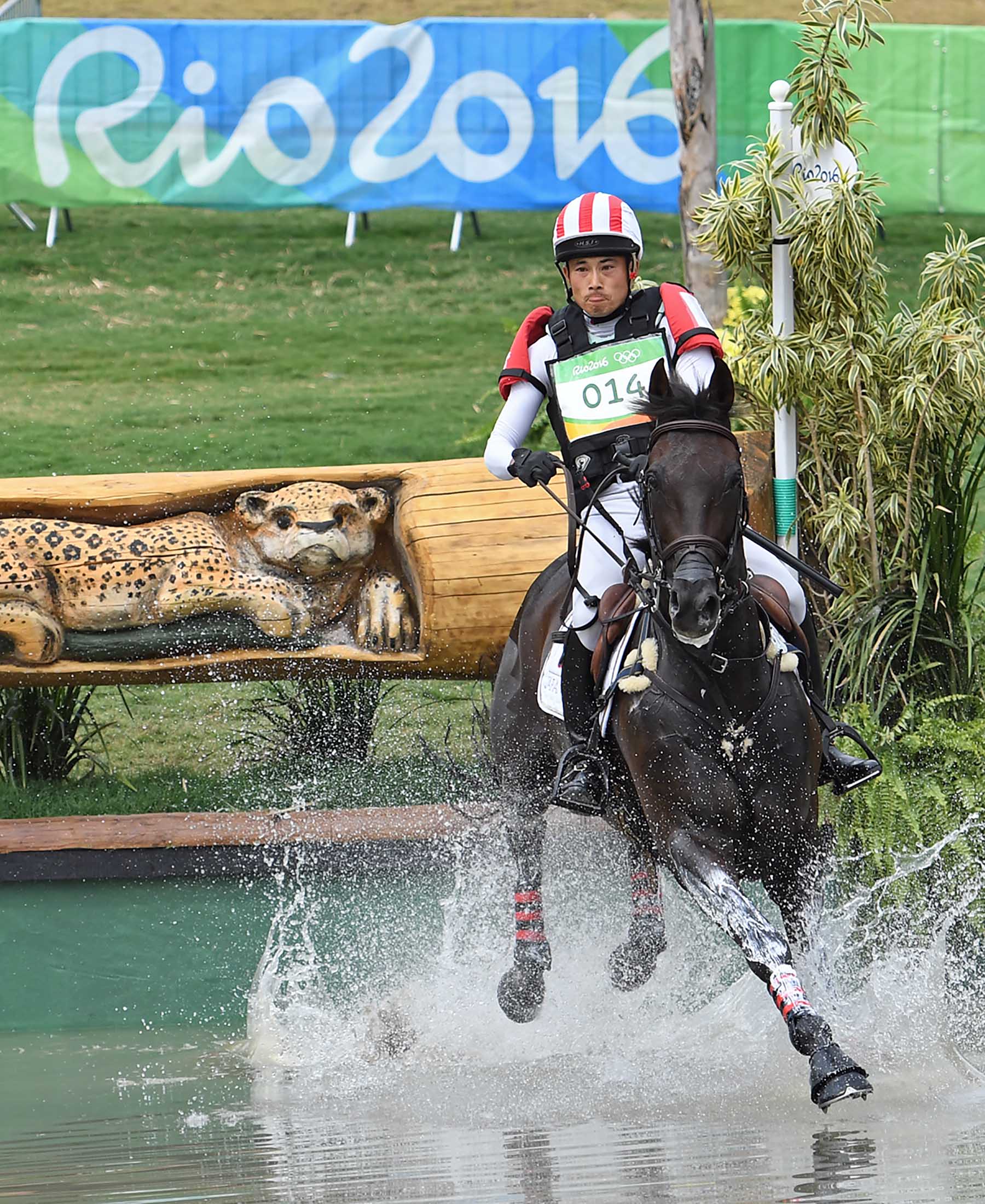 Rio Olympics Show Jumping