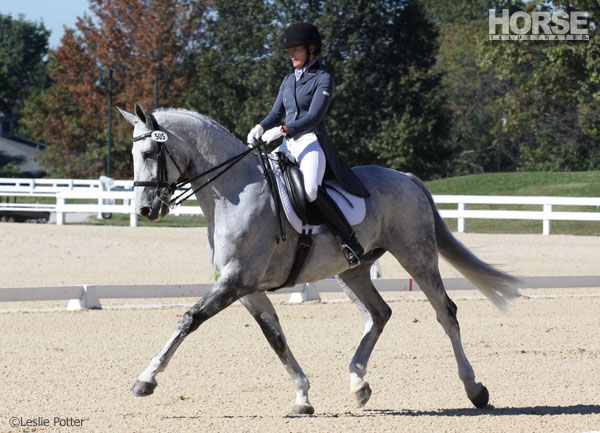 Dressage Rider