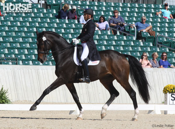 Steffen Peters and Legolas 92