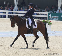 Dressage Helmet