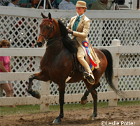 Saddle seat equitation rider