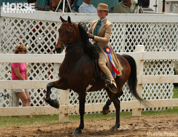 Saddle seat equitation victory pass