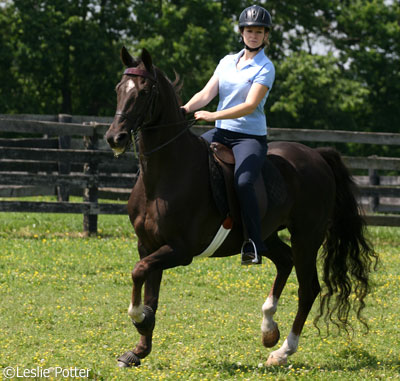 Practicing saddle seat patterns