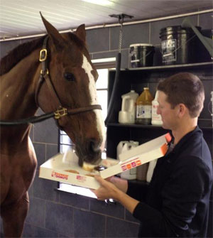 Sapphire and McLain Ward