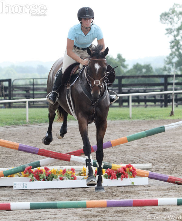 Schooling Over Jumps