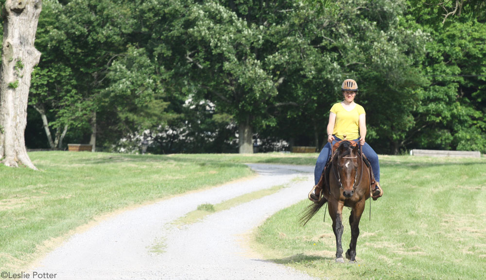 Senior Horse Riding