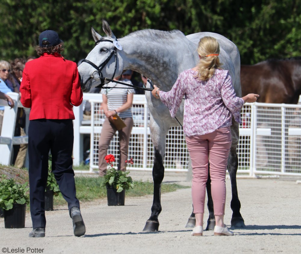 2017 Rolex Kentucky Three-Day Event