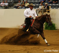 The Kentucky Horse Park's new arena opened with Kentucky Cup Reining