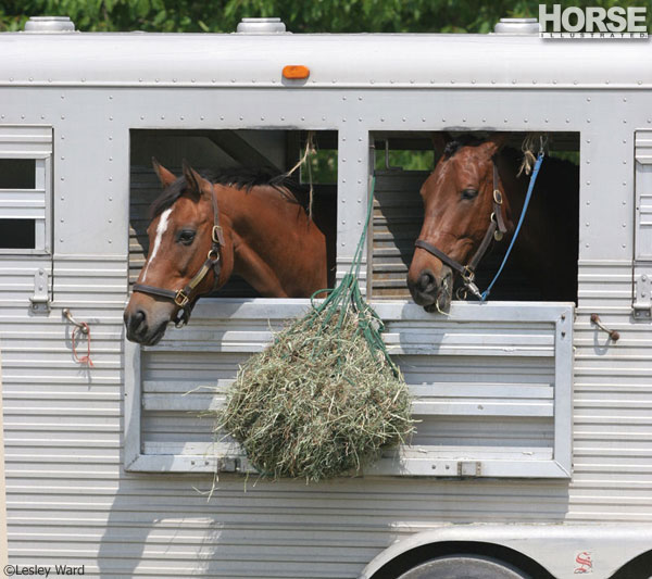 Horse Trailer