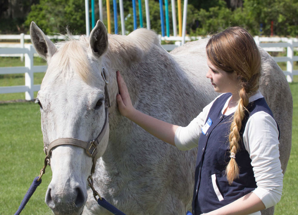 SMART Girls Horse Program