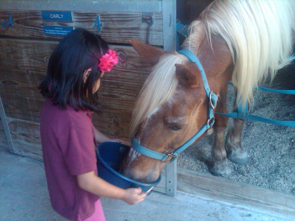 SMART Girls Horse Program