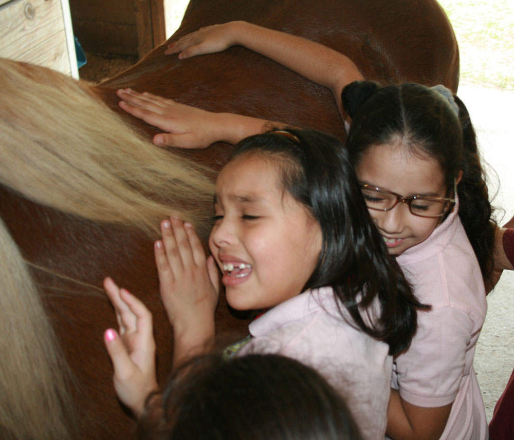 SMART Girls Horse Program