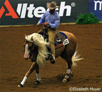 Lovett's horse, Smart & Shiny, competed for the Italian team