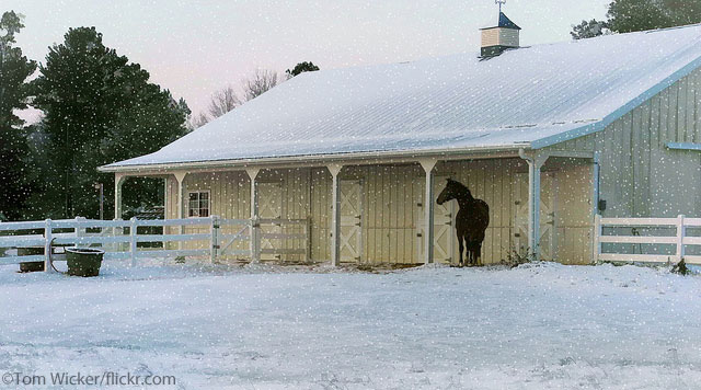 Snowy Barn