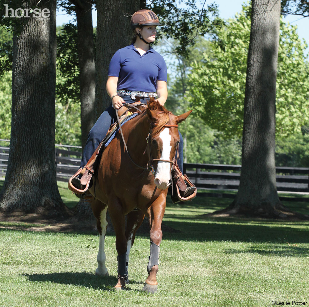 Trail Ride